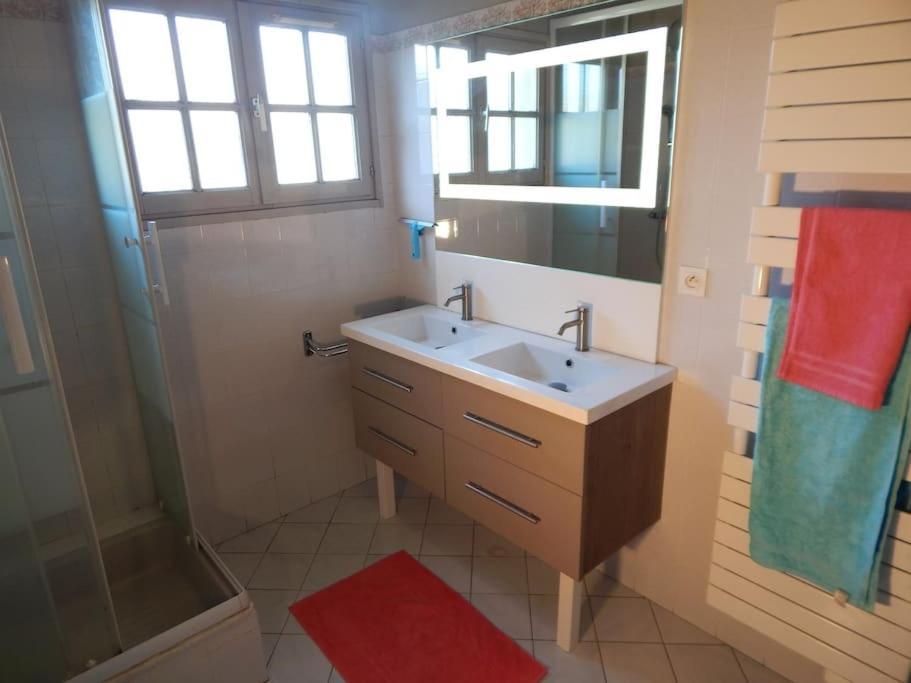 St Malo Maison Avec Jardin Proche Gare Plage Intramuros Chien Admis Parking Gratuit Saint-Malo Luaran gambar